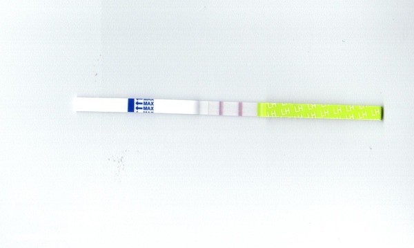 2edc67096f1c52fac3f94138f57708ec.jpg