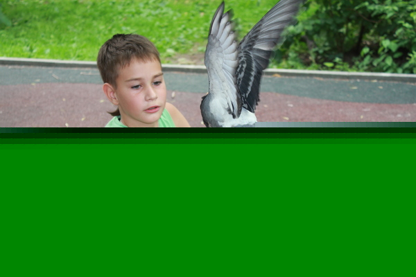c2c60e854ac73704e010c2848af880c7.jpg