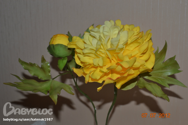 d79700516c7ffa731e7fba3b9f76dedf.jpg