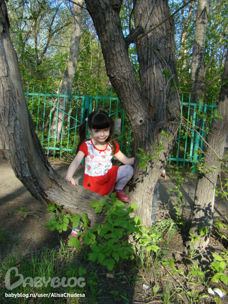 c1aaefa3c76f0535182a033a8babfd90.jpg